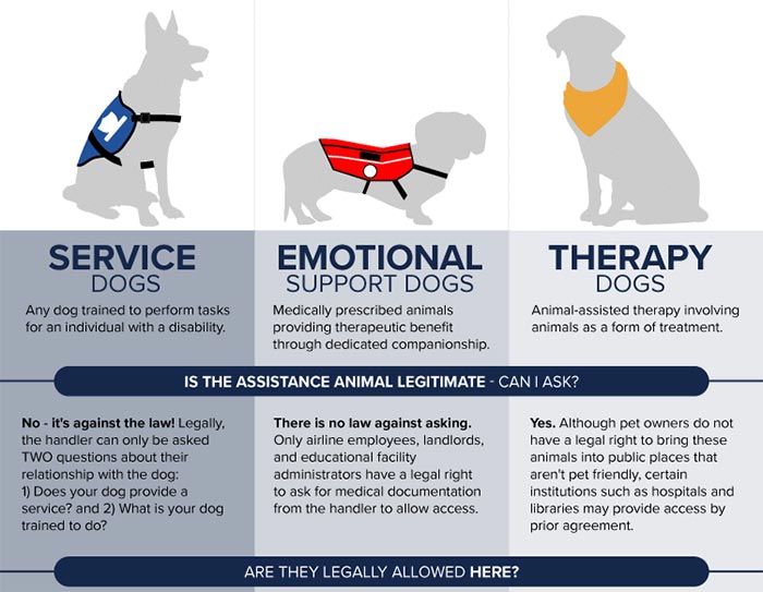 What's the difference between a psychiatric service dog and emotional support animal?