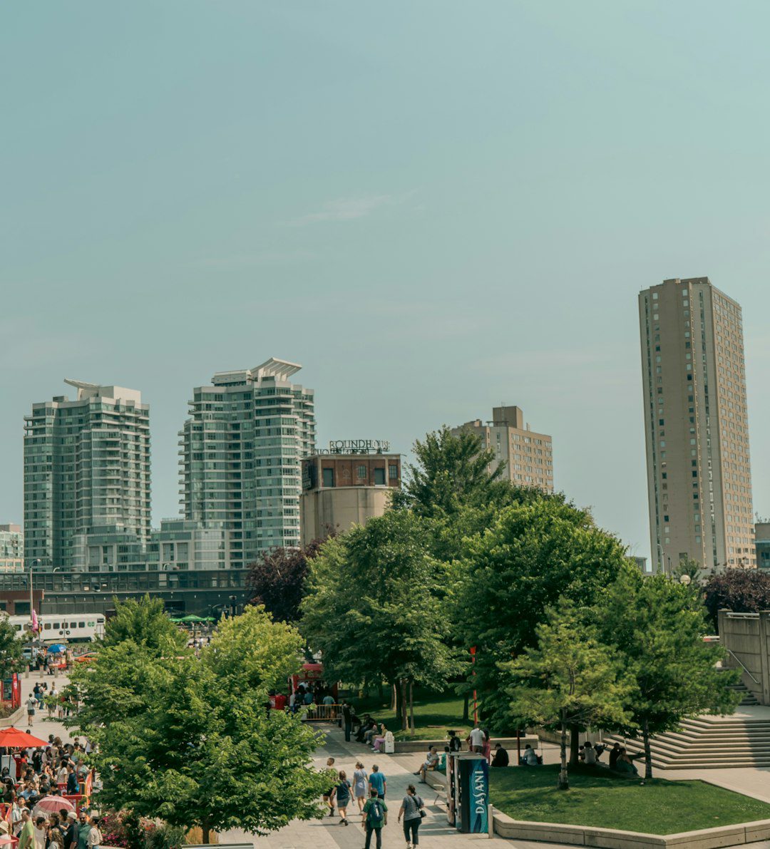 bilingual service dog — A group of people walking down a street next to tall buildings