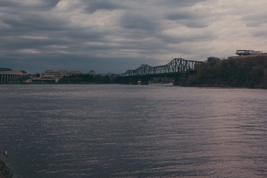 Alberta service dog qualifications — 7 Essential Alberta Service Dog Qualifications Every Trainer and Owner Must Know