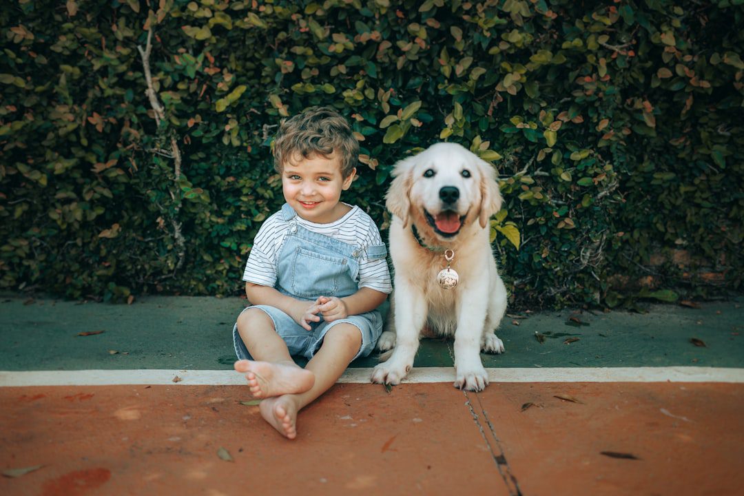 autism service dog — A smiling boy and a golden retriever puppy sit together.