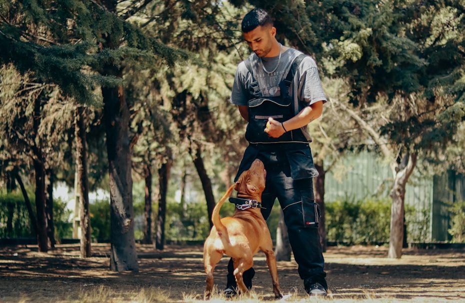 force-free training — 7 Evidence-Based Training Methods: Why CADI Requires Force-Free Approaches