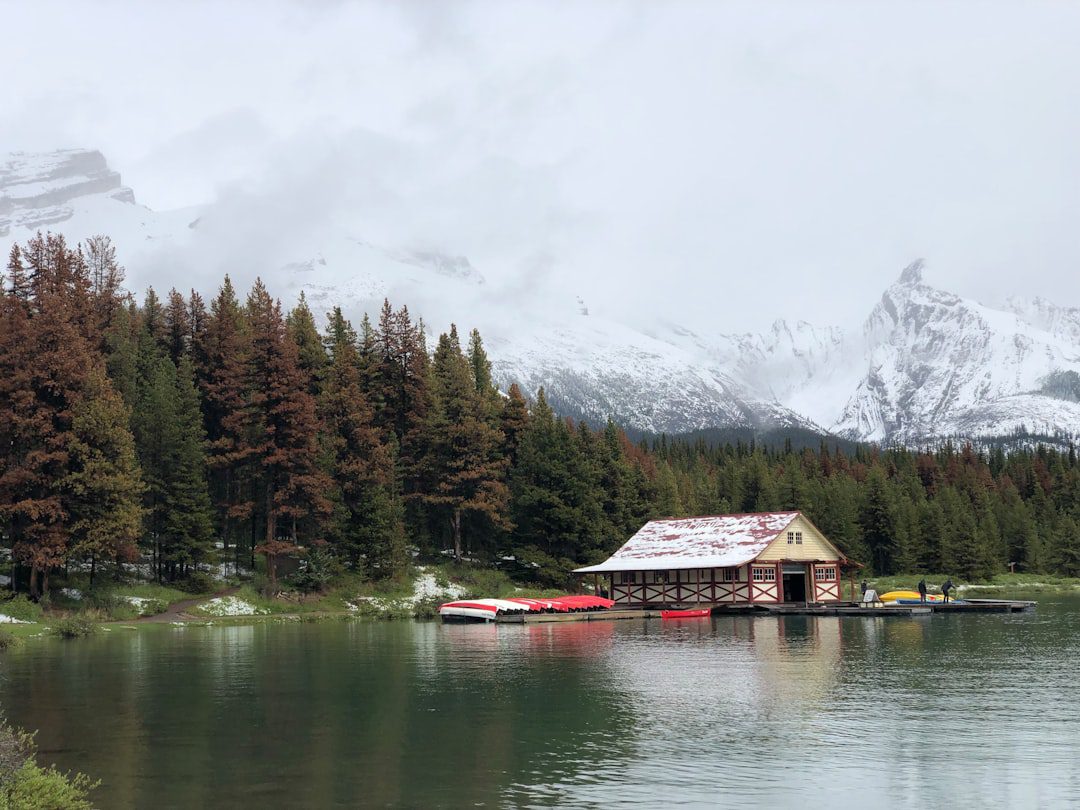 British Columbia service dog — a boat house on a lake with mountains in the background