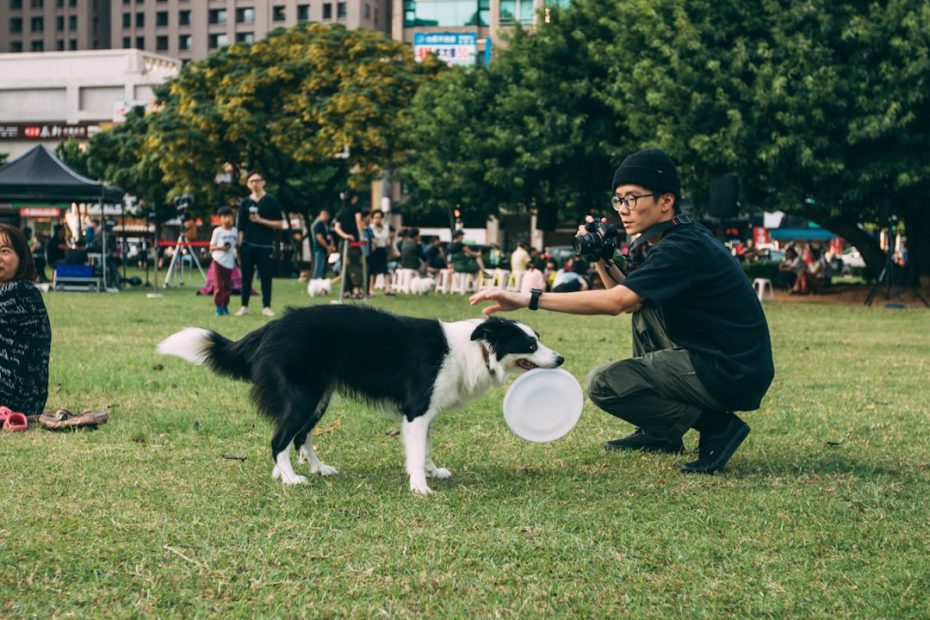 service dog trainers — Insurance and Legal Protection for Canadian Service Dog Trainers: What Your Practice Needs