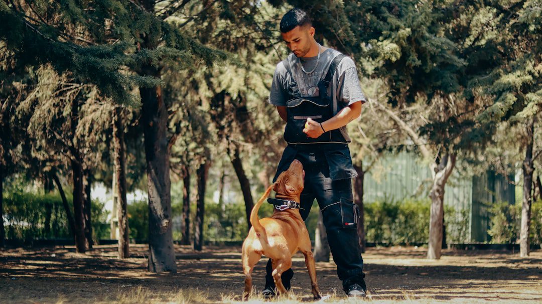 service dog trainers — a man standing next to a brown dog in a forest