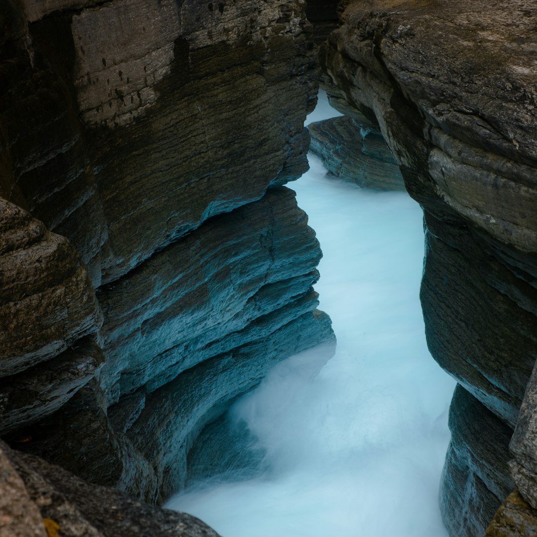 BC service dog certification — a narrow river cuts through a rocky canyon