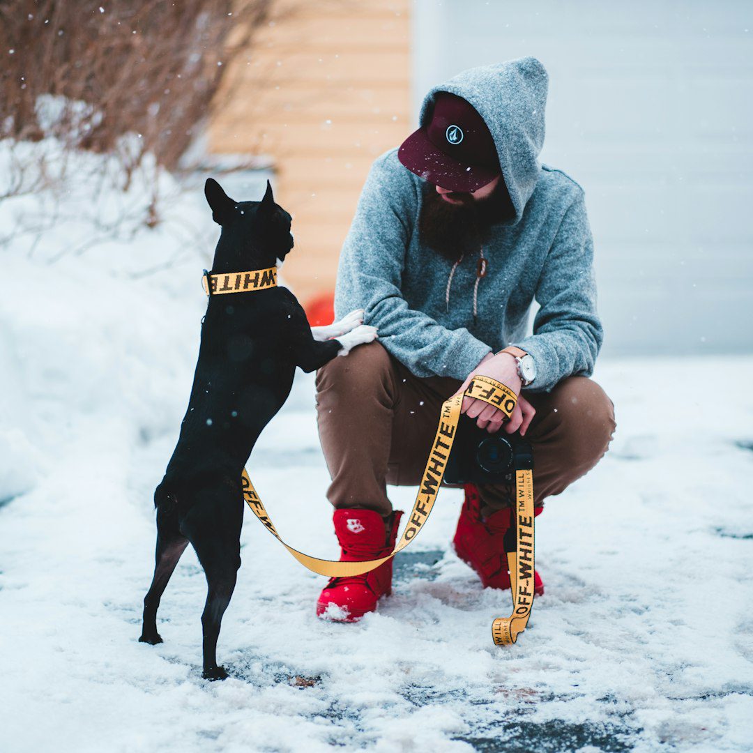 medical alert dog — man sitting next to dog