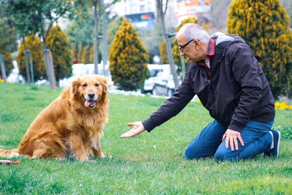 temperament evaluation — Temperament Evaluation for Service Dog Work: A Canadian Trainer's Guide