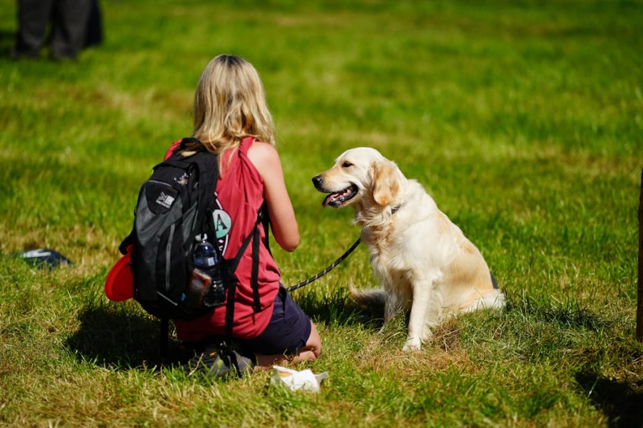 assistance dog types — Guide Dogs, Hearing Dogs, and Mobility Dogs: How Canada's Assistance Dog Spectrum Works