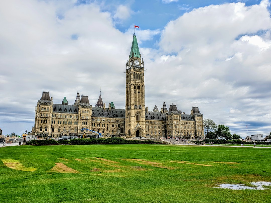 Alberta service dog qualifications — brown concrete building under cloudy sky during daytime
