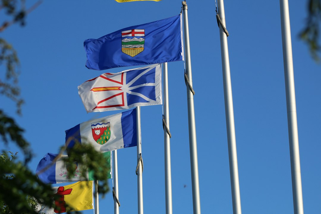 Ontario service dog — Canadian provincial flags flying against a clear blue sky