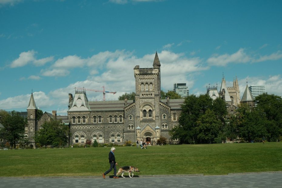 Ontario service dog — Ontario Service Dog Access Laws: What Has Changed and What Remains the Same